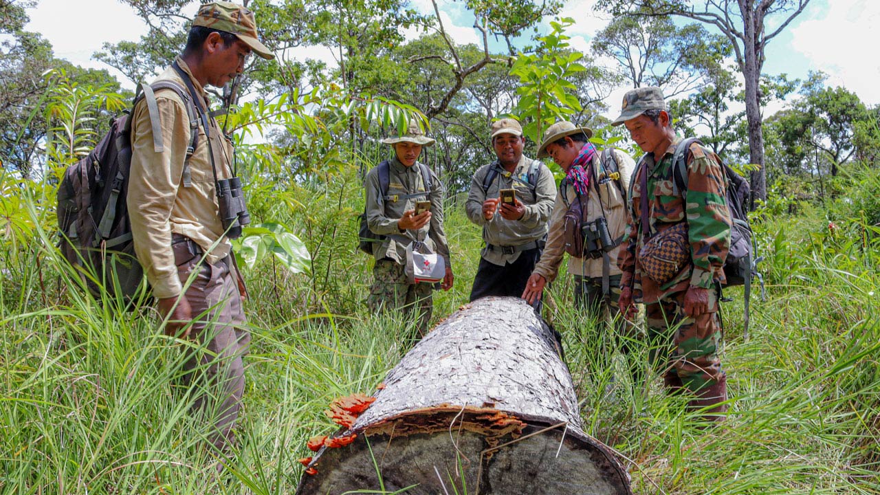 Forest patrollers using mobile technology to document forest products