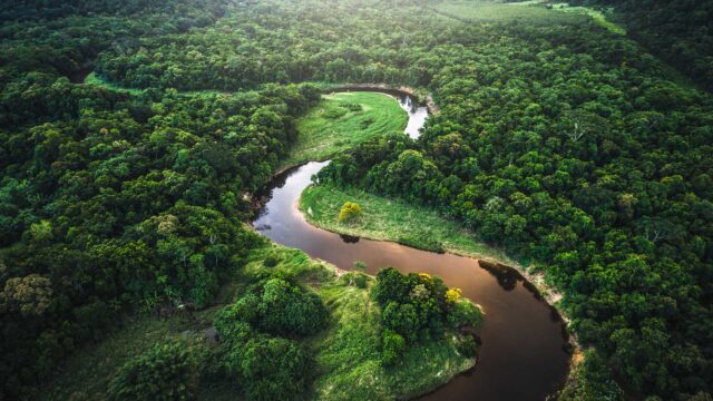 Aerial view of Atlantic forest in Brazil