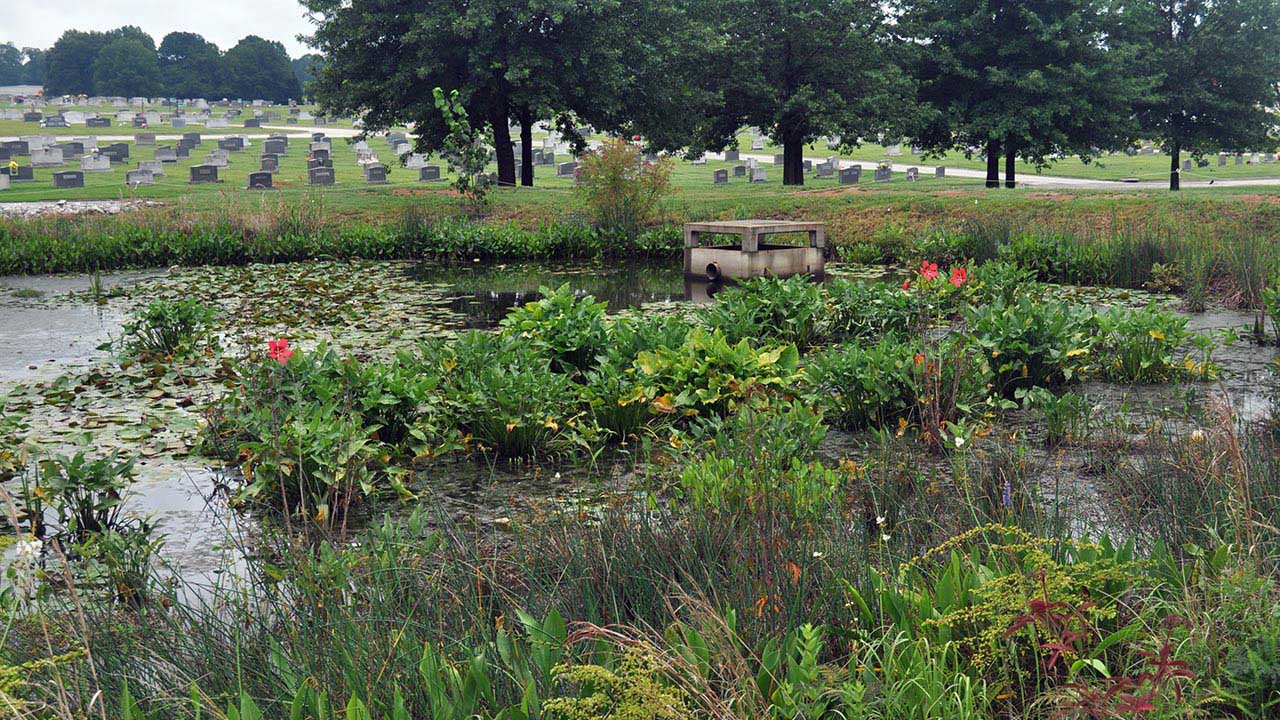 The Tetra Tech designed stormwater wetland in Griffin, Georgia