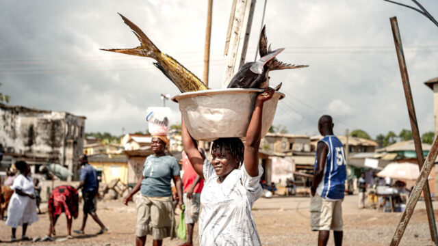 Woman carrying a bucket of fish on her head