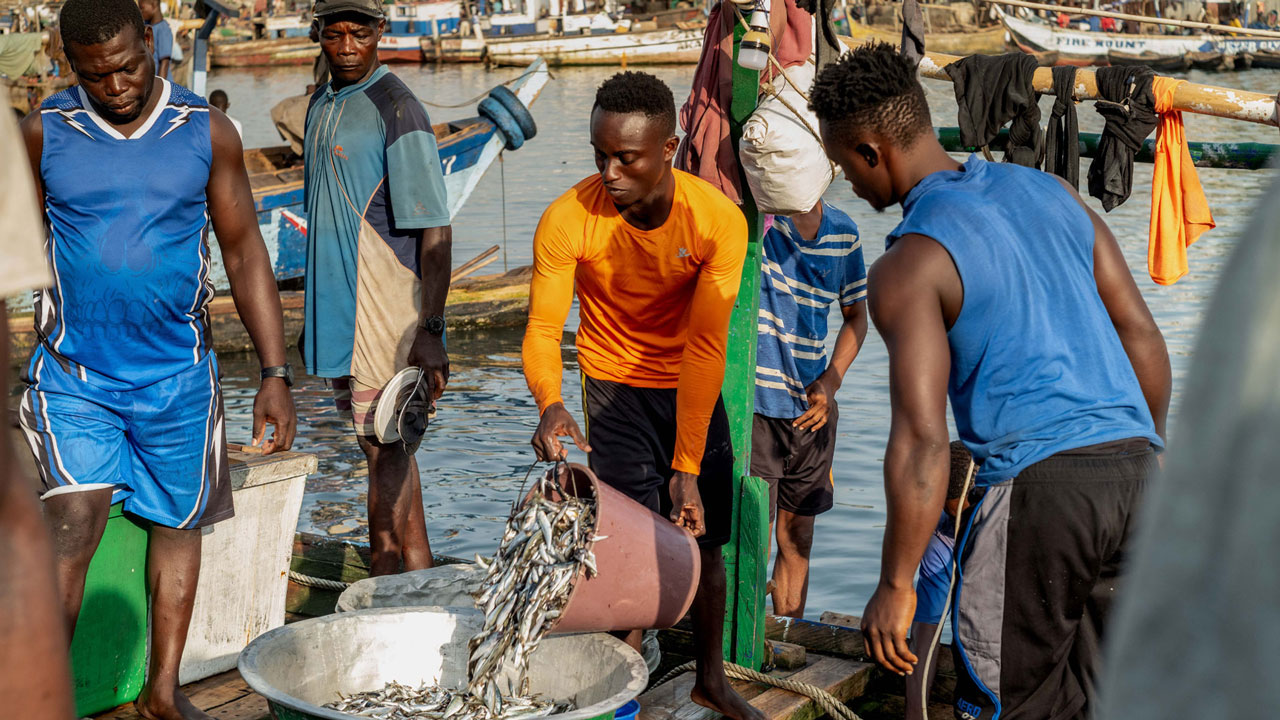 Group of young fishermen dumping fish from one bucket into another