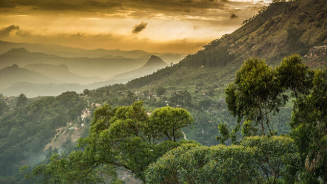 View of the Western Ghats, a forested mountain chain