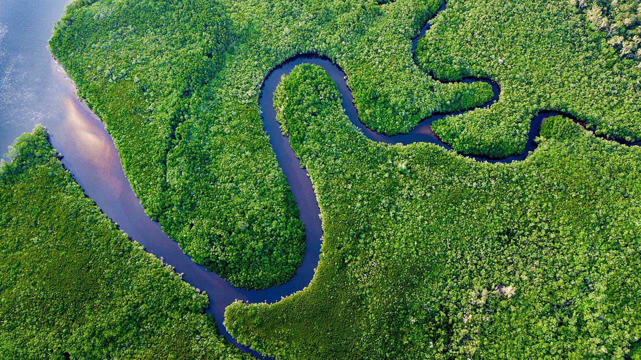 Aerial view of Amazon rainforest